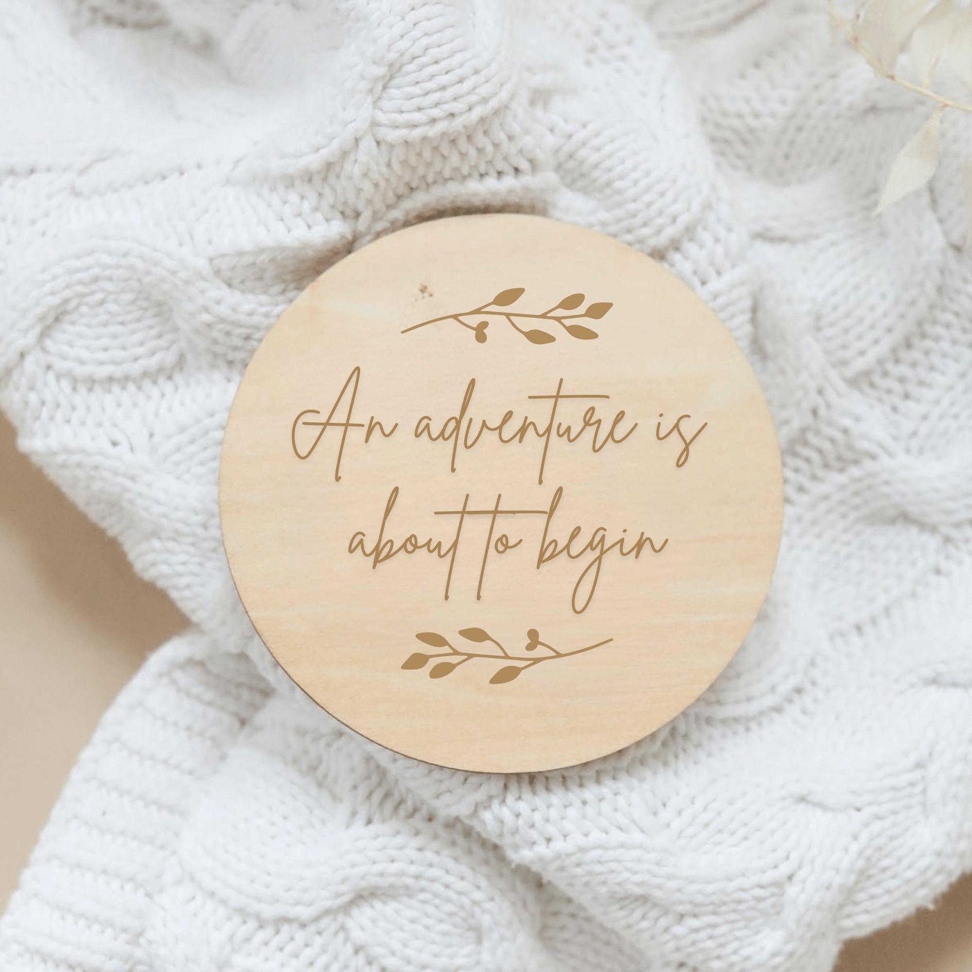 an adventure is about to begin wooden coaster