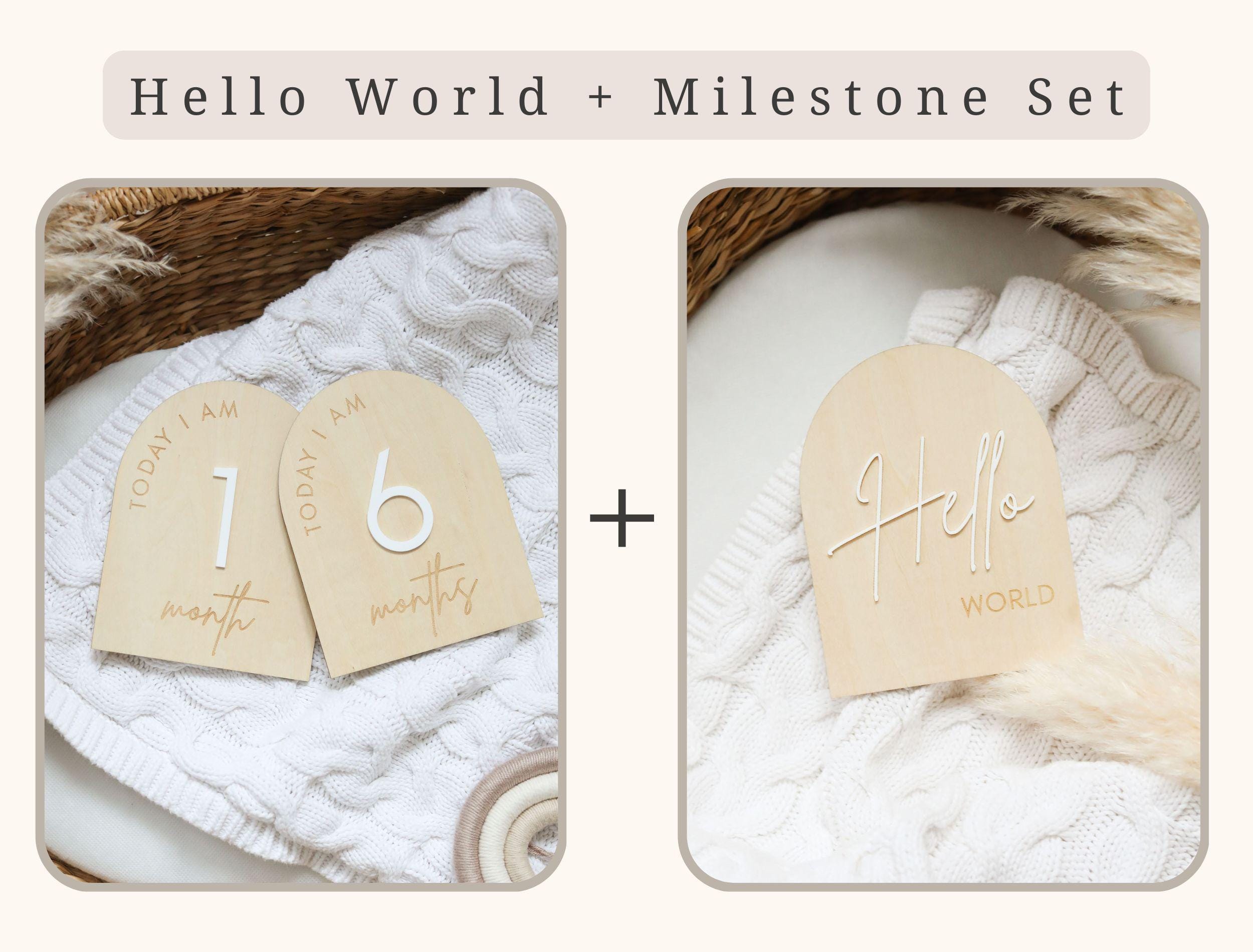 Arch Reversible Baby Milestone Wooden Sign - Baby Pandas