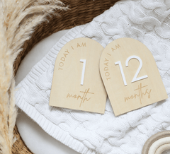 Arch Reversible Baby Milestone Wooden Sign - Baby Pandas