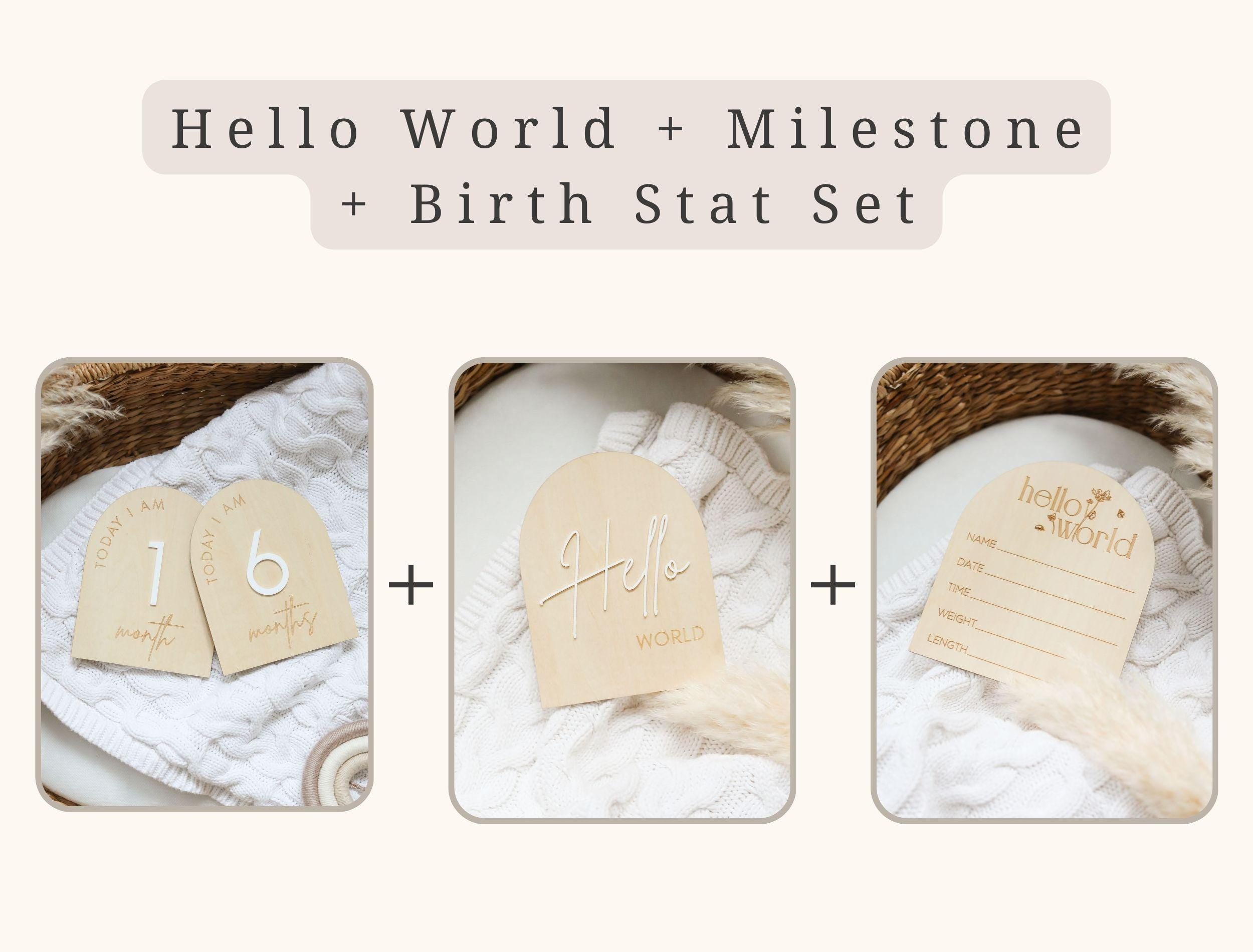 Arch Reversible Baby Milestone Wooden Sign - Baby Pandas