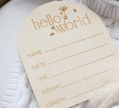 Arch Reversible Baby Milestone Wooden Sign - Baby Pandas