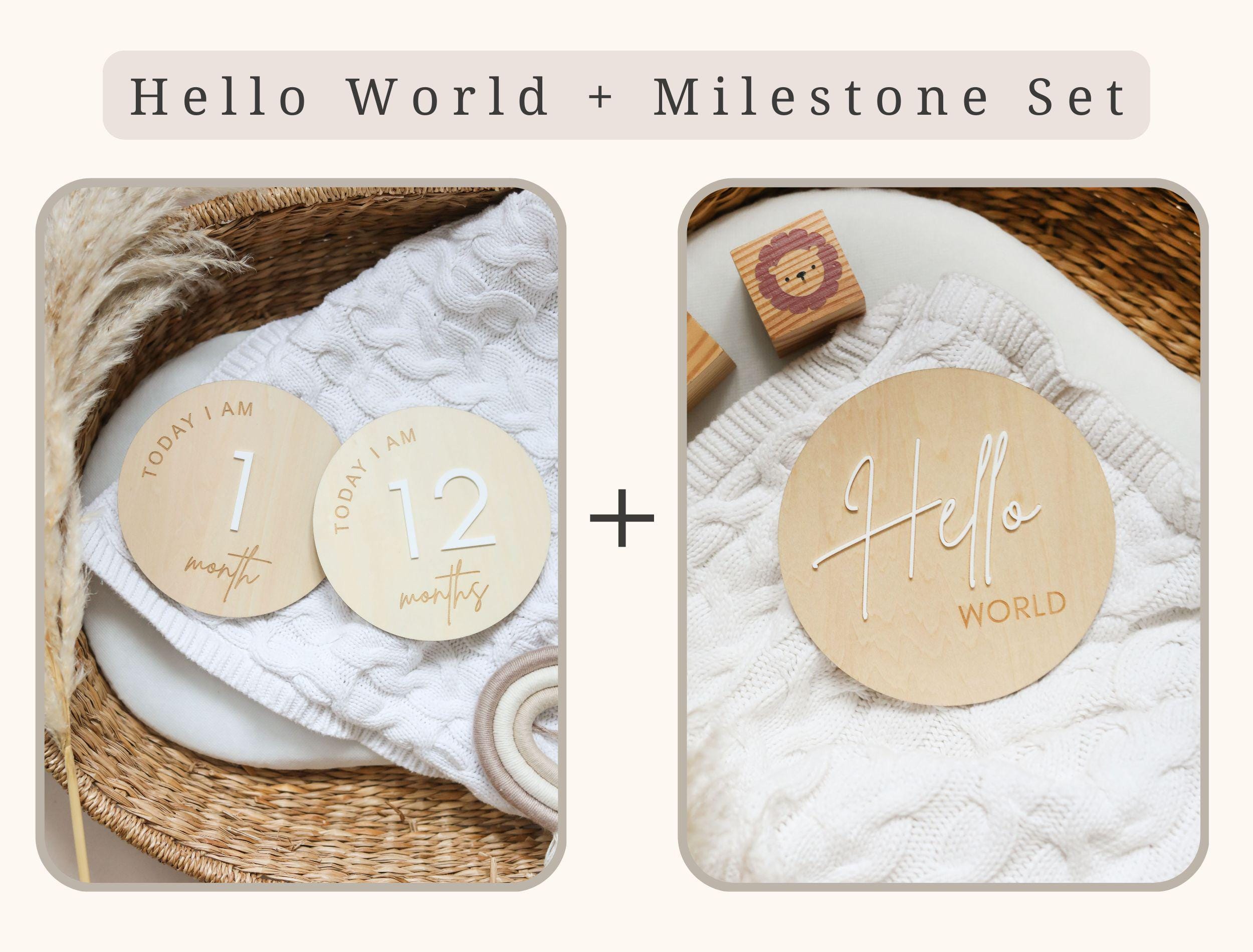 Classic Reversible Baby Milestone Wooden Sign - Baby Pandas