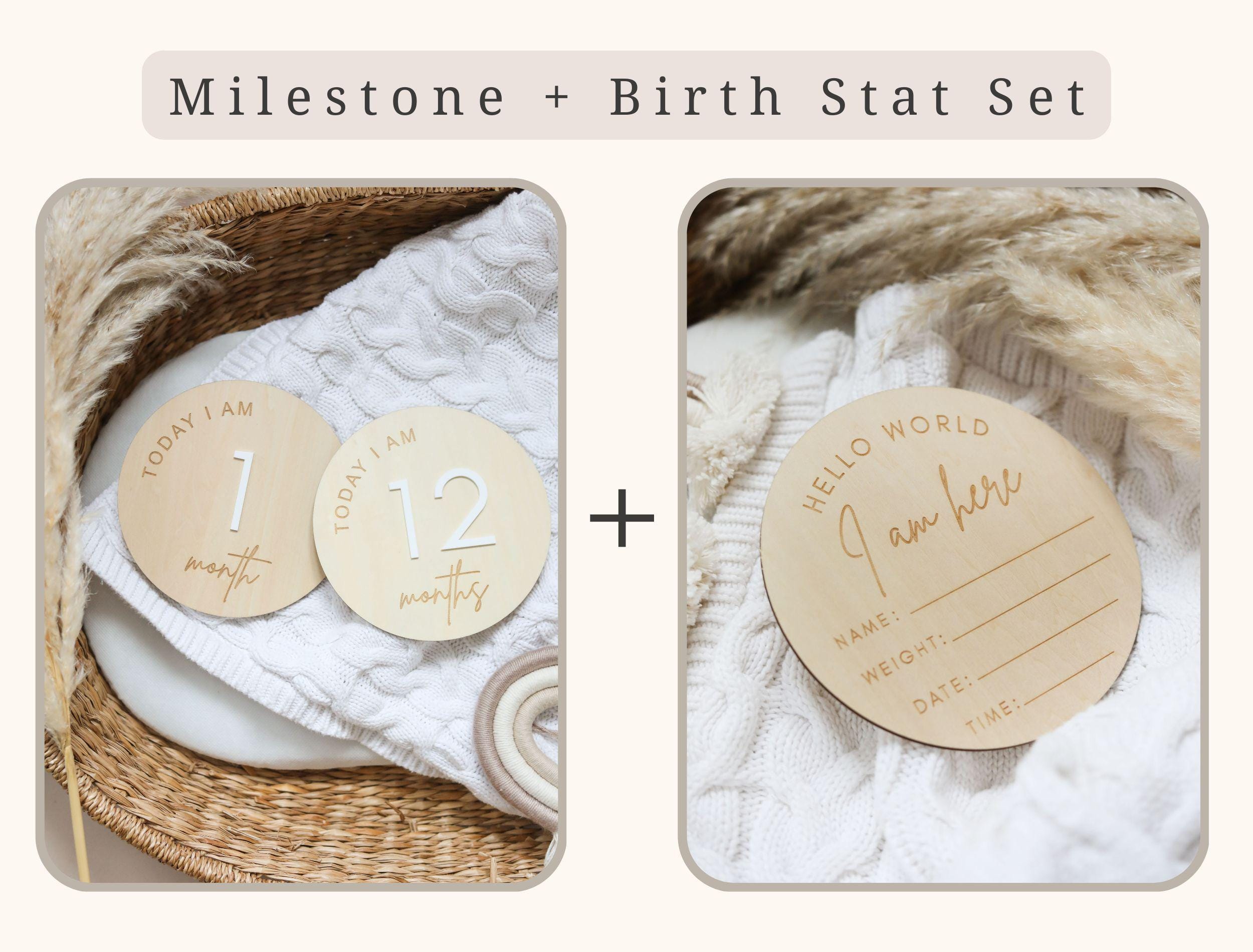 Classic Reversible Baby Milestone Wooden Sign - Baby Pandas