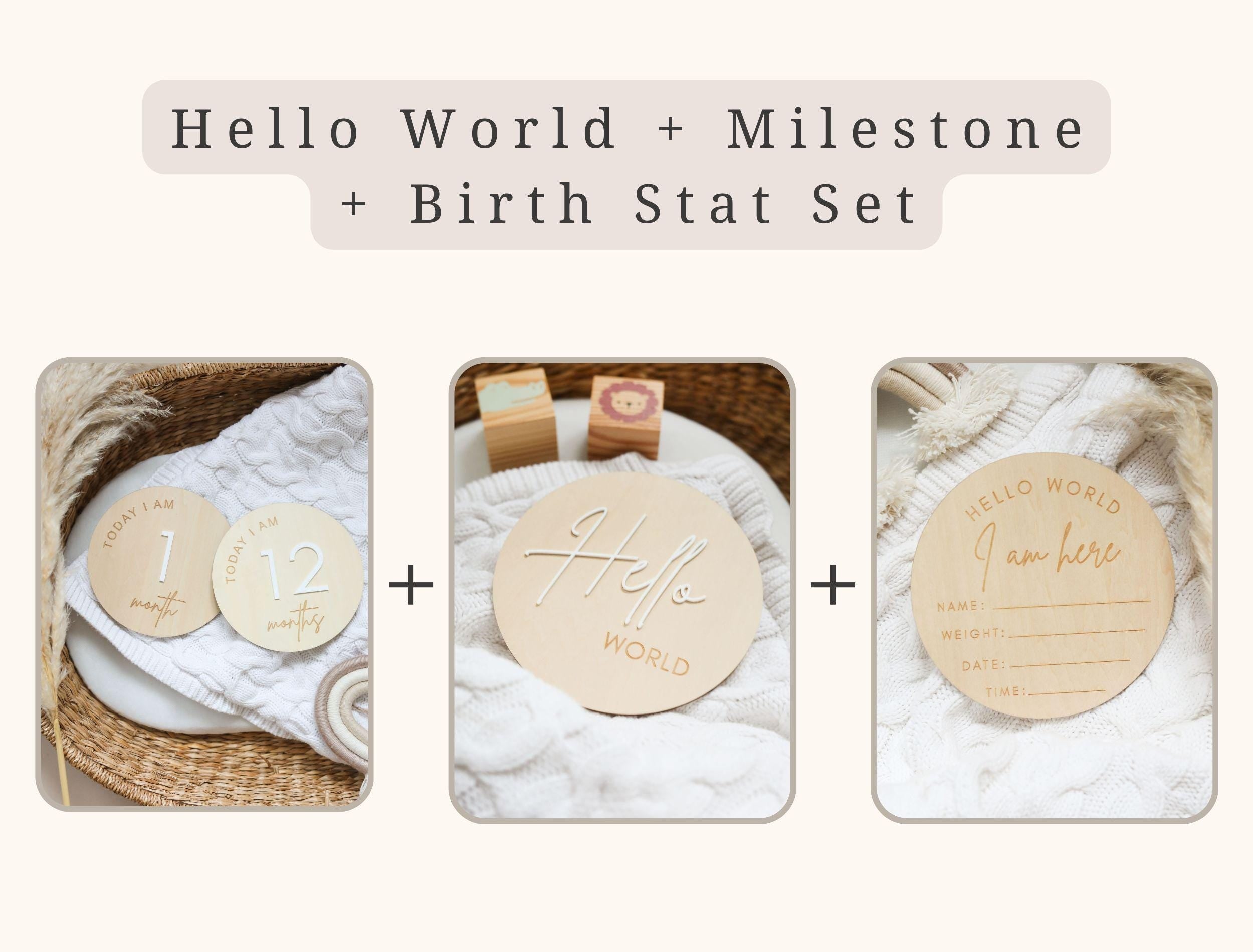 Classic Reversible Baby Milestone Wooden Sign - Baby Pandas
