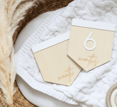 Flag Reversible Wooden Baby Milestone Sign - Baby Pandas