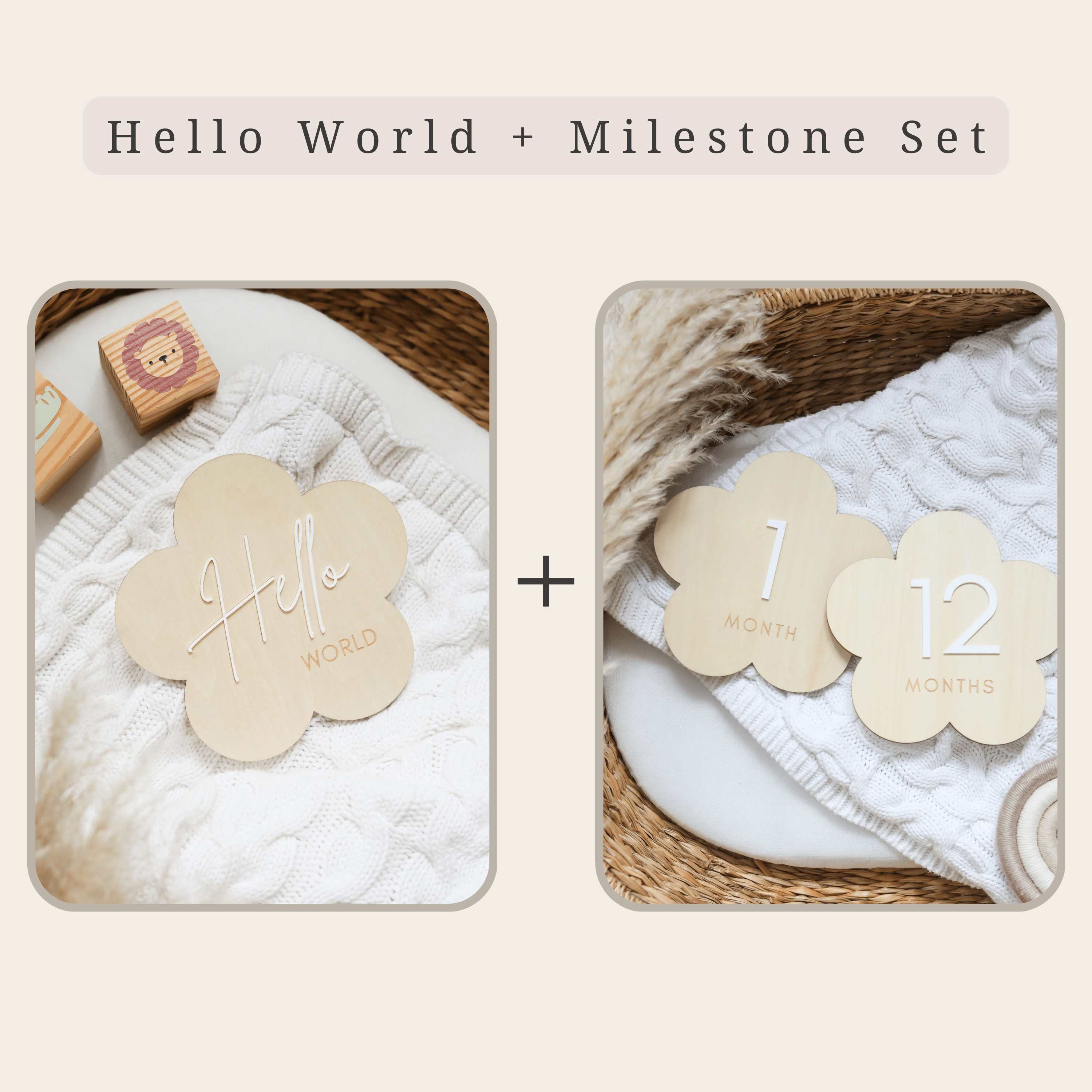 Flower Reversible Wooden Baby Milestone Sign - Baby Pandas