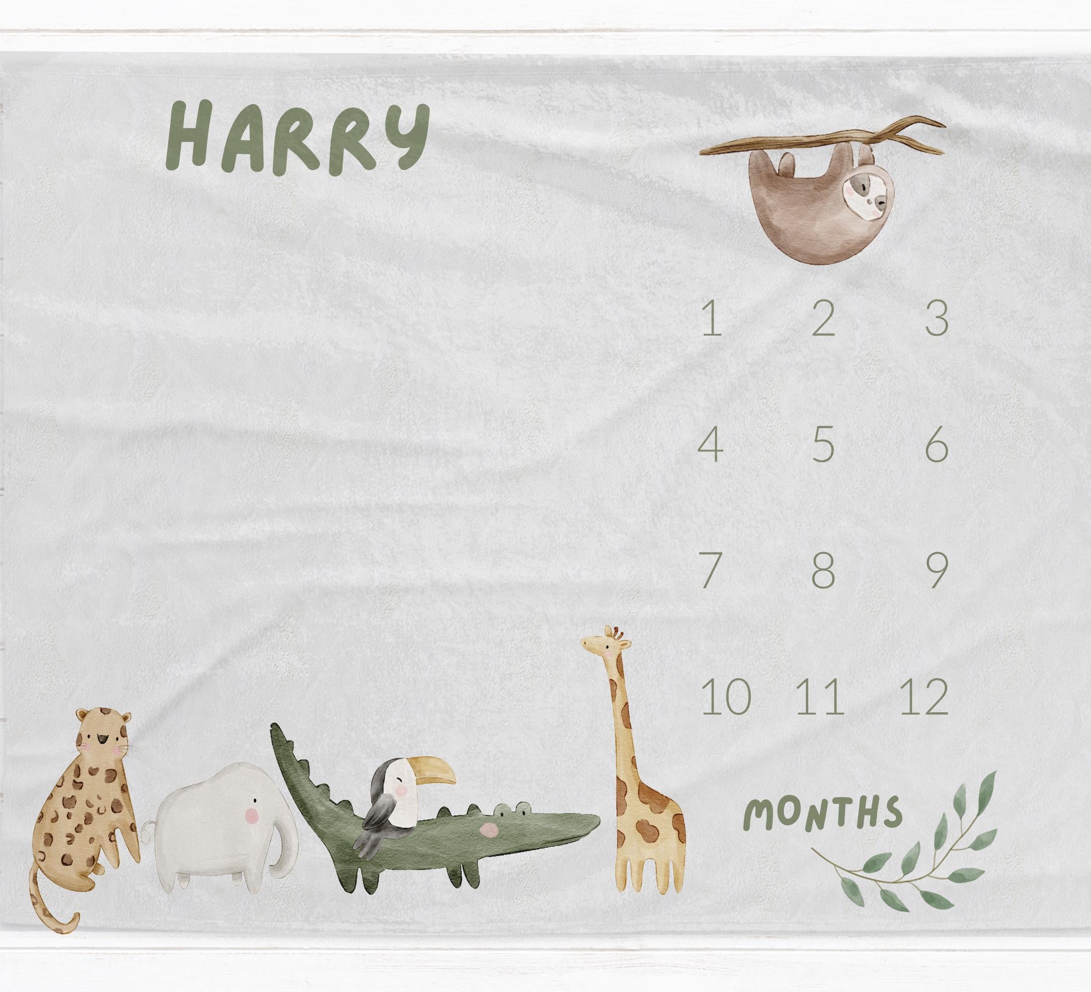 Boho Safari Milestone Blanket