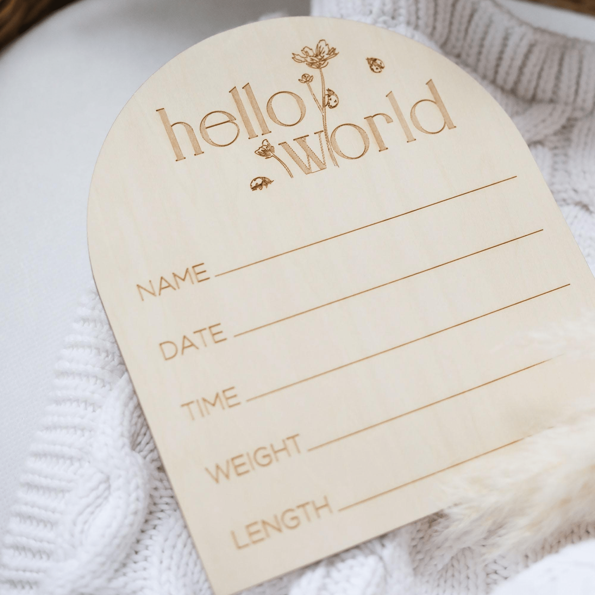 Arch Shaped Hello World Wooden Baby Announcement Sign - Baby Pandas