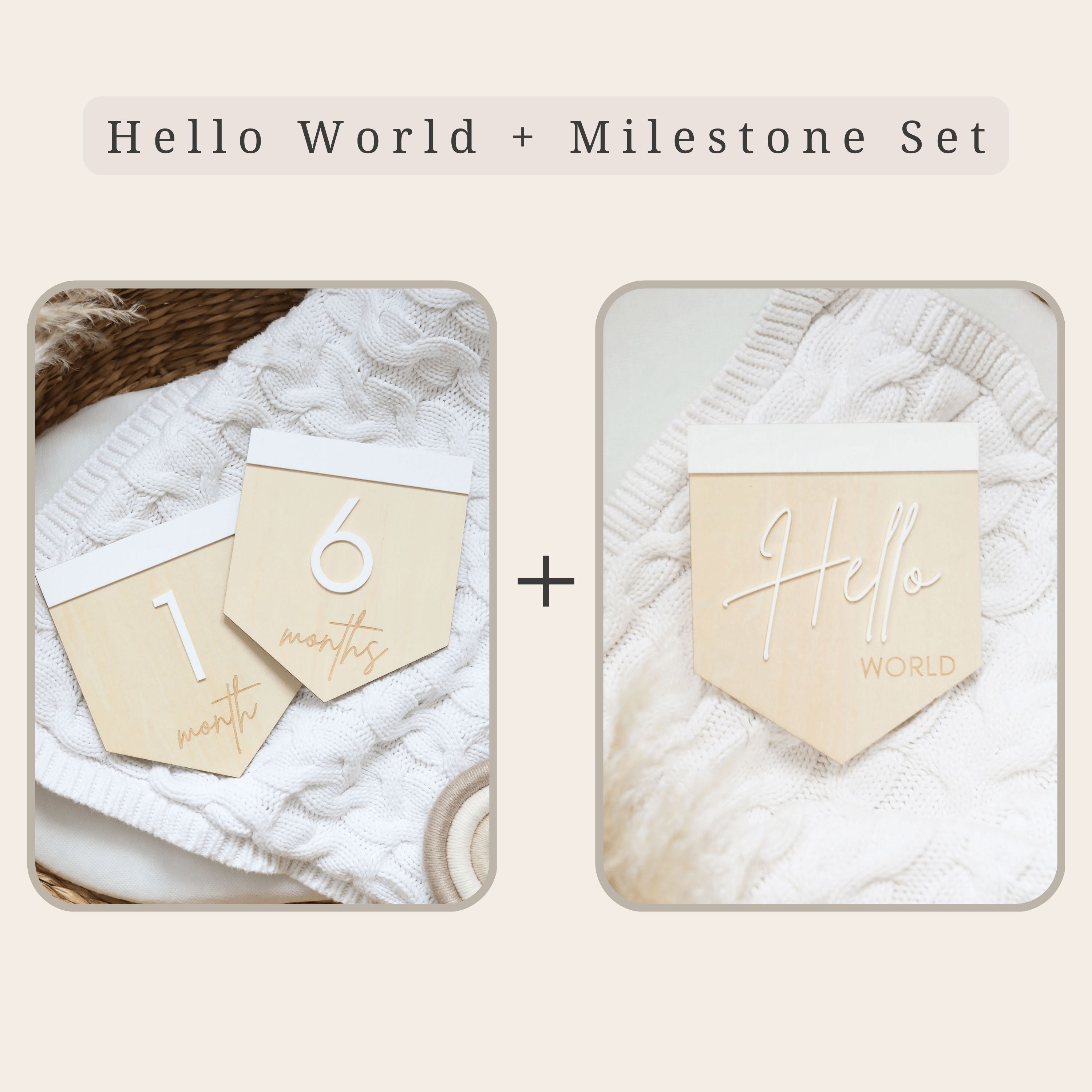 Flag Reversible Wooden Baby Milestone Sign - Baby Pandas
