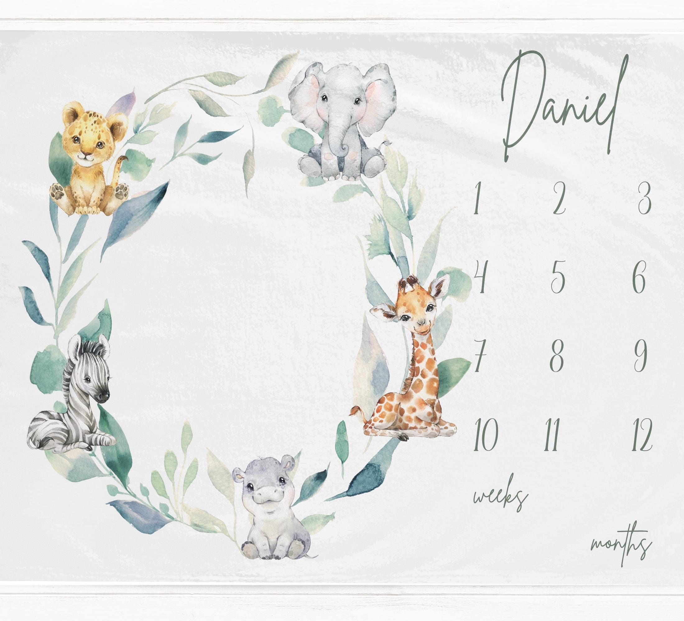 Safari Ring Milestone Blanket