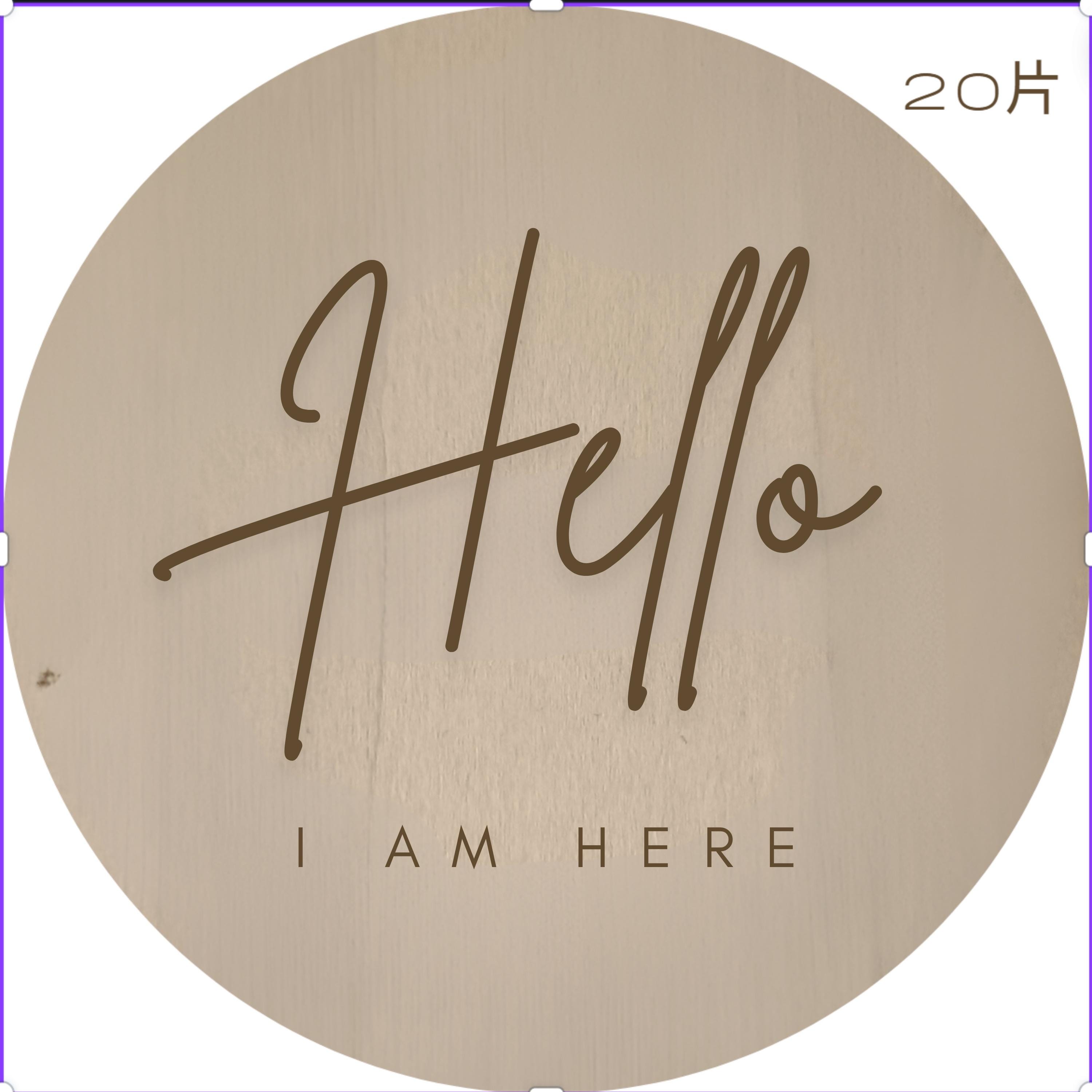 New Arrival Disc - I Am Here Wooden Plaque - Baby Announcement Idea - Baby Pandas