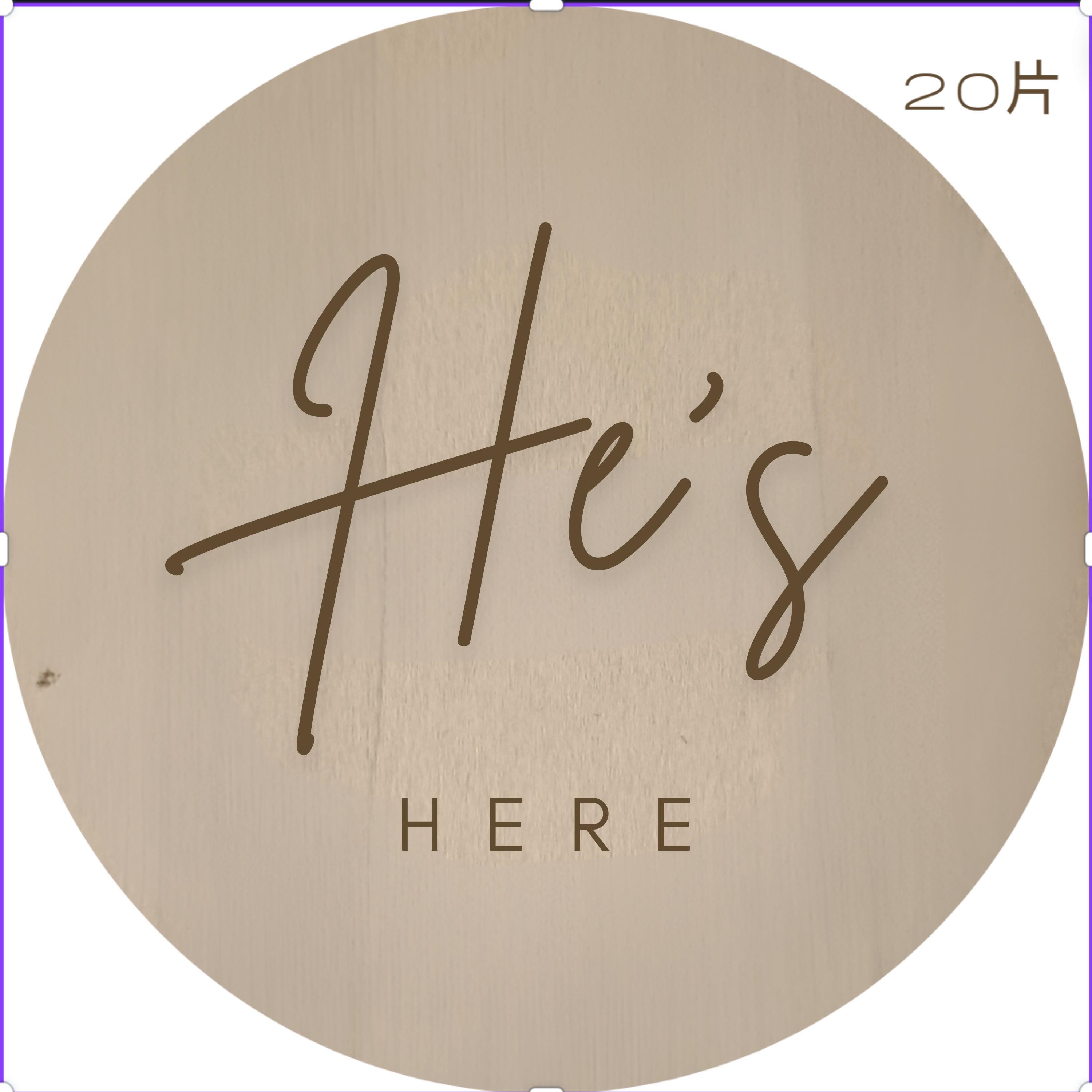 New Arrival Disc - I Am Here Wooden Plaque - Baby Announcement Idea - Baby Pandas