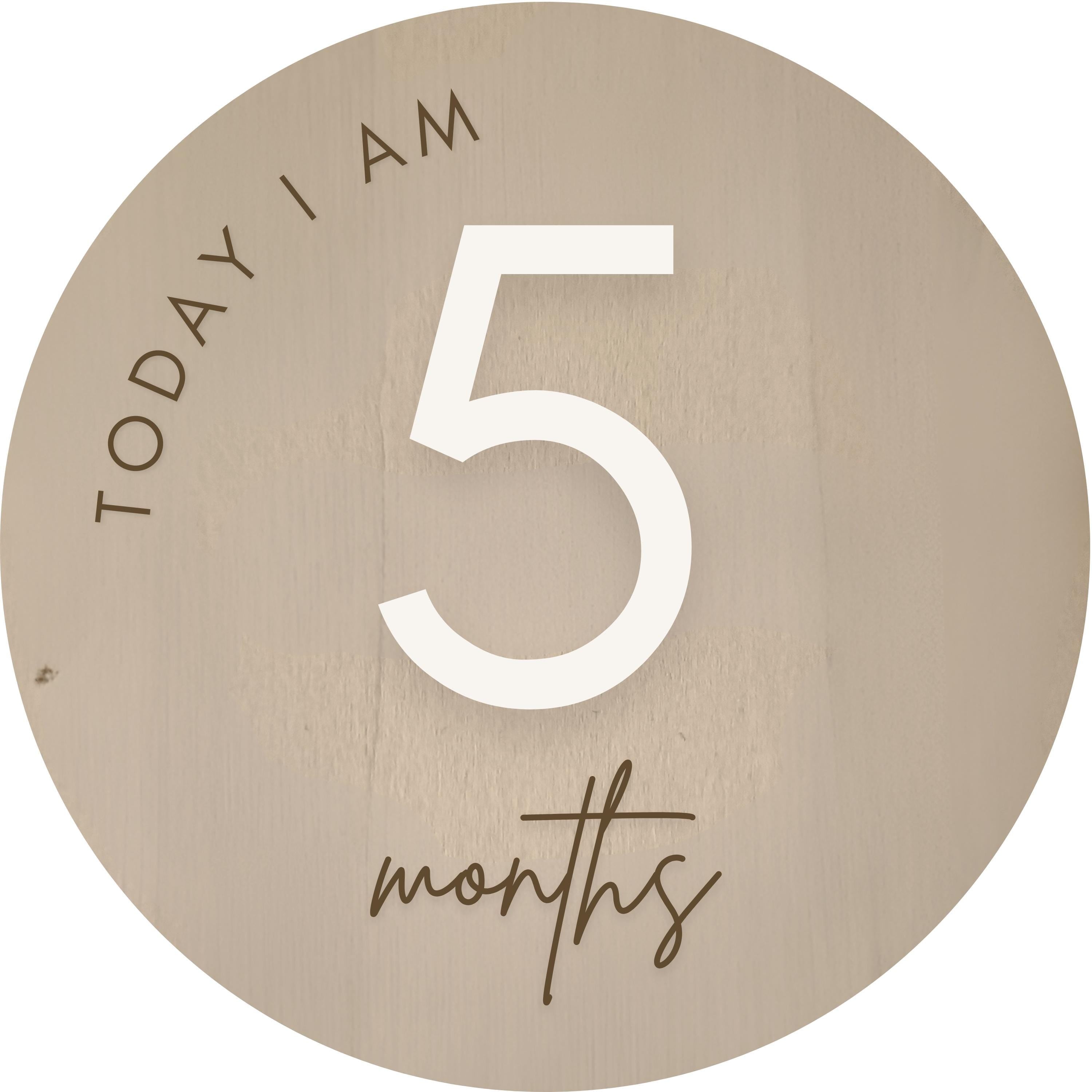 Round Baby Milestone Disc with Acrylic Numbers Keepsake - New Parents Gift - Baby Pandas