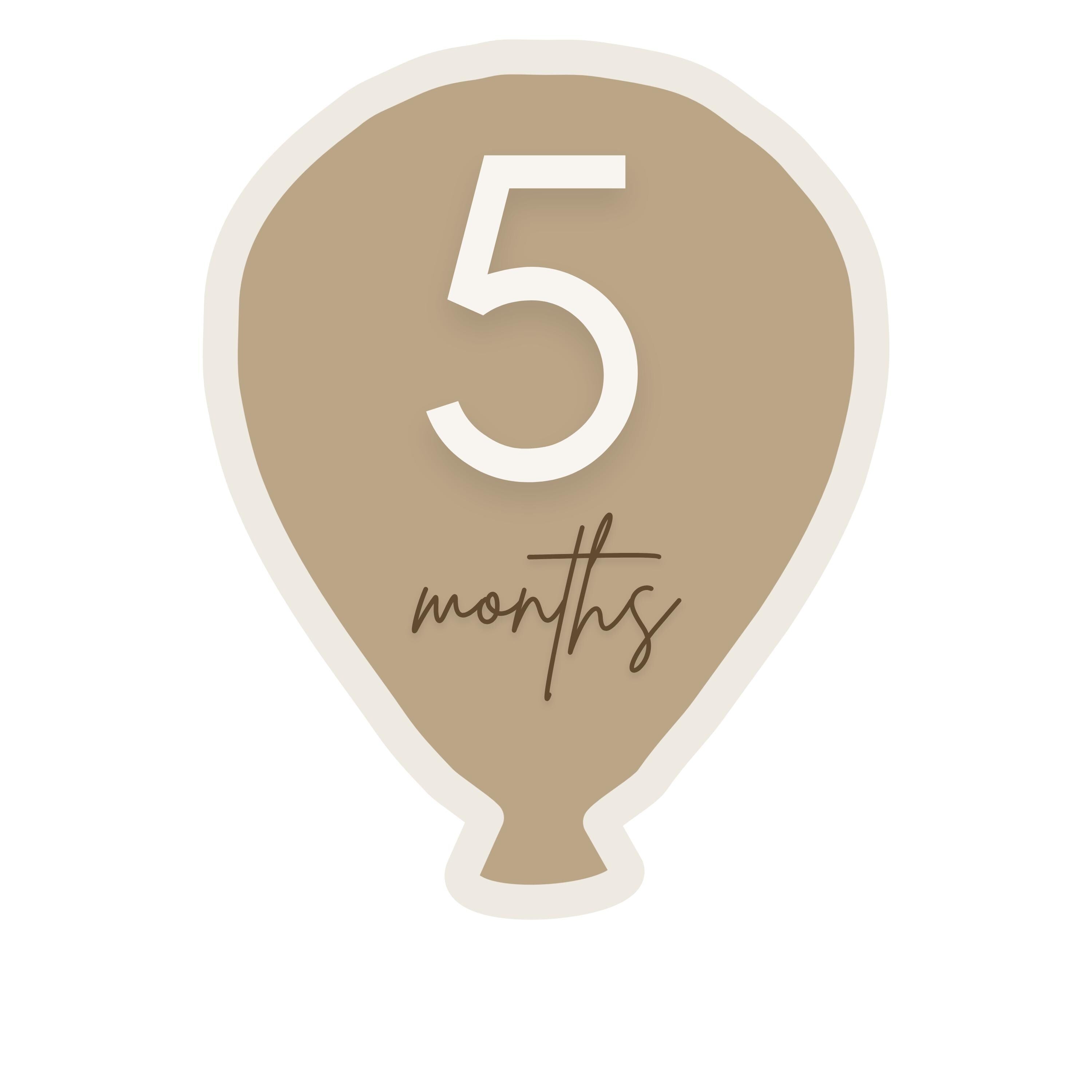 Round Baby Milestone Disc with Acrylic Numbers Keepsake - New Parents Gift - Baby Pandas