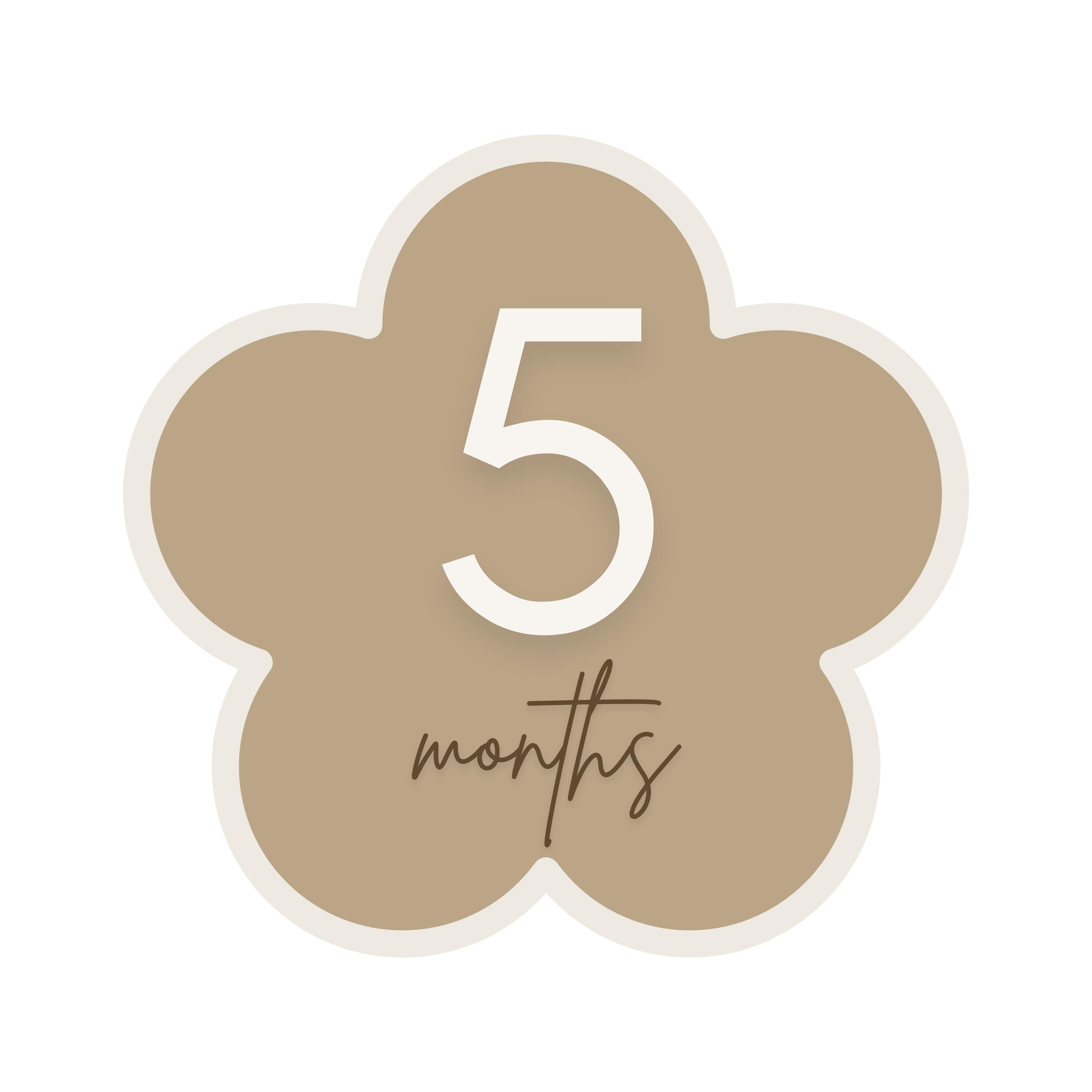 Round Baby Milestone Disc with Acrylic Numbers Keepsake - New Parents Gift - Baby Pandas