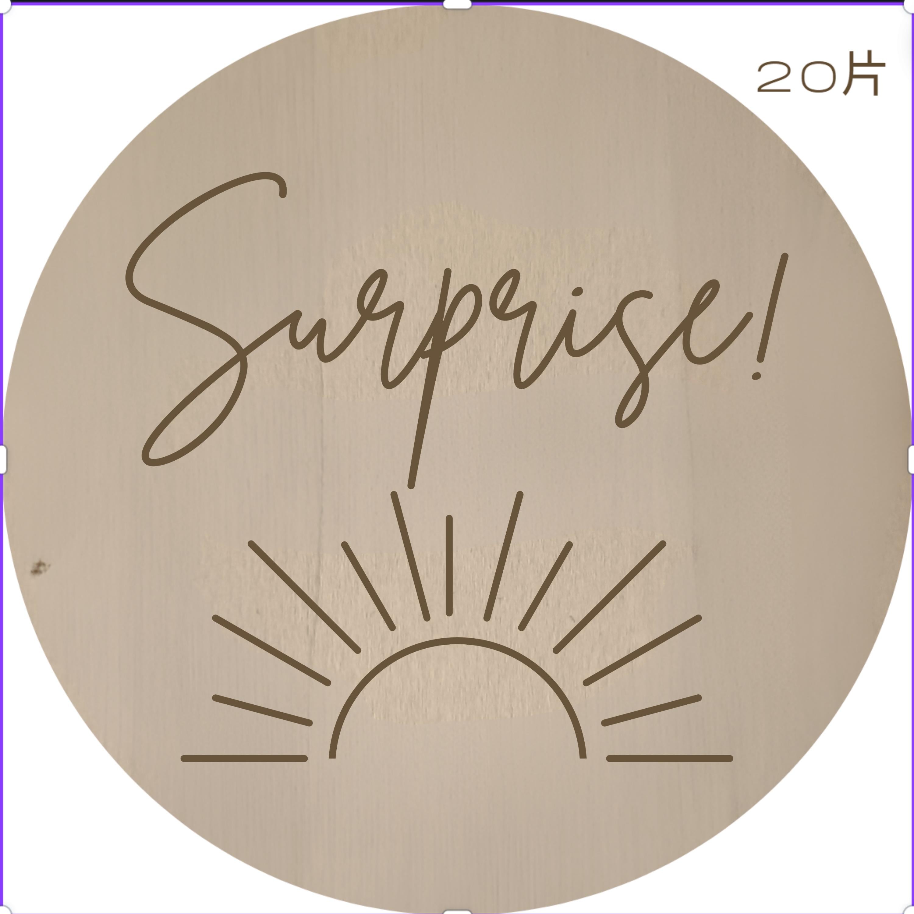 Wildflower Pregnancy Announcement Disc - We Can't Wait To Meet You - Baby Pandas