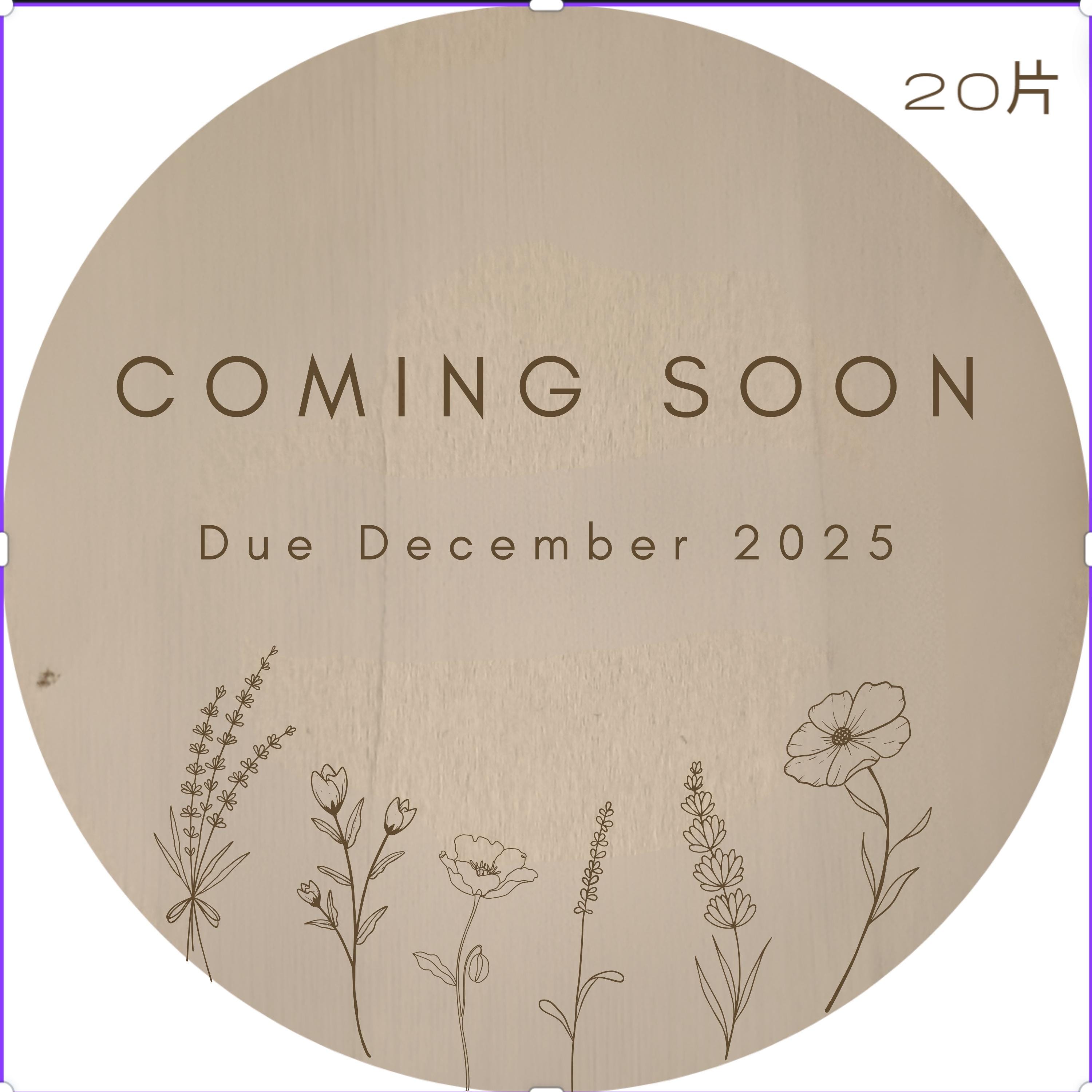 Wildflower Pregnancy Announcement Disc - We Can't Wait To Meet You - Baby Pandas