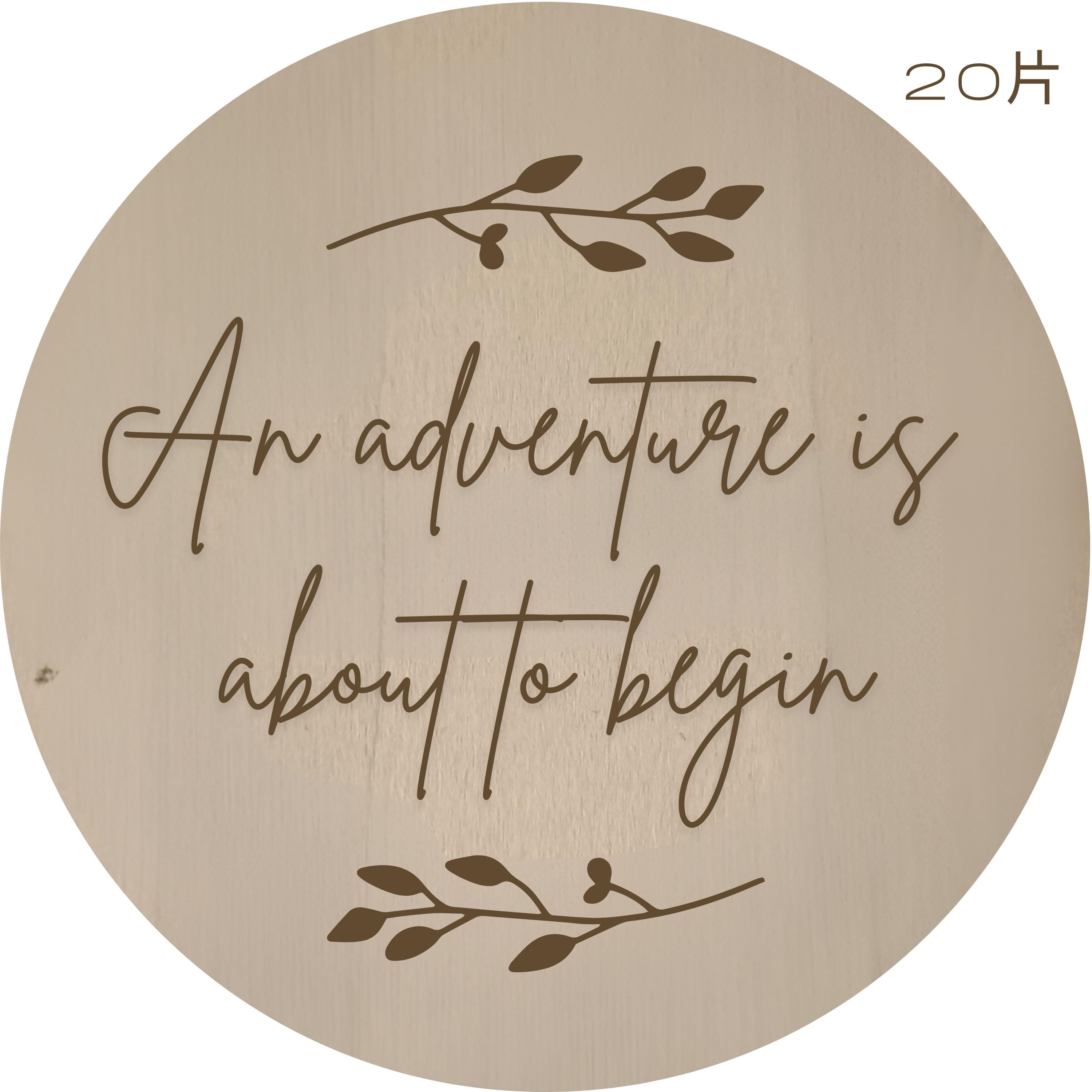 Wildflower Pregnancy Announcement Disc - We Can't Wait To Meet You - Baby Pandas