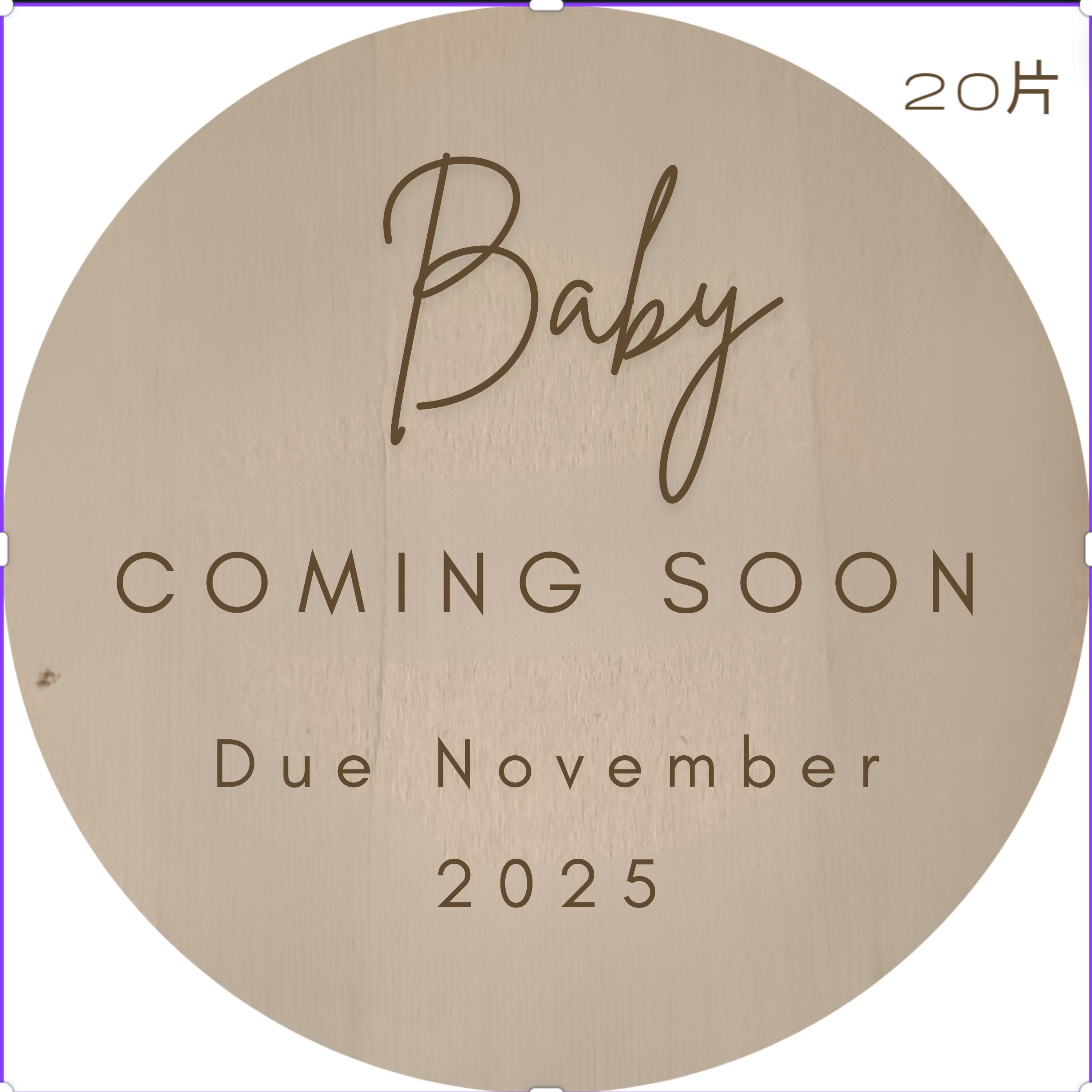 Wildflower Pregnancy Announcement Disc - We Can't Wait To Meet You - Baby Pandas